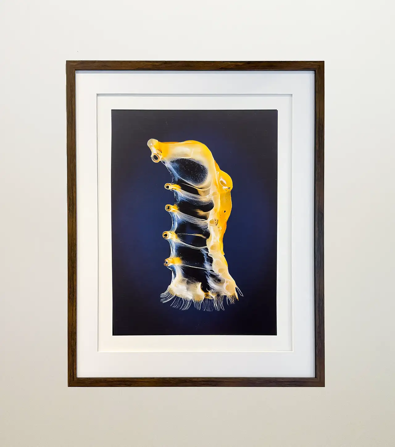 Svarožić — Future Tales of Long Ago